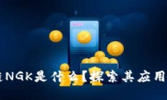 区块链NGK是什么？探索其